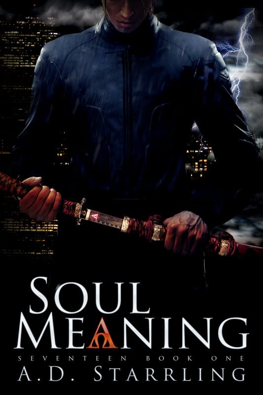 Soul Meaning Cover